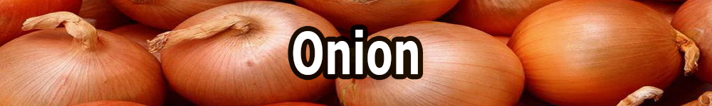 onion