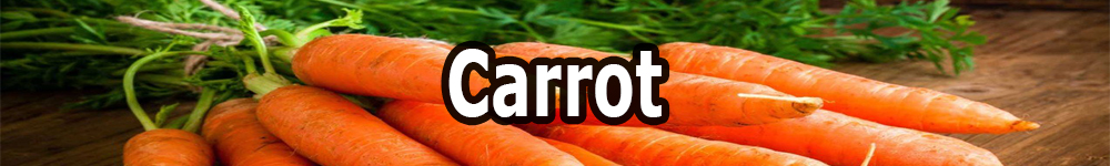 carrot