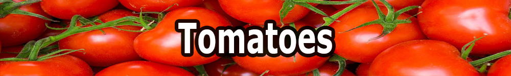 tomatoes