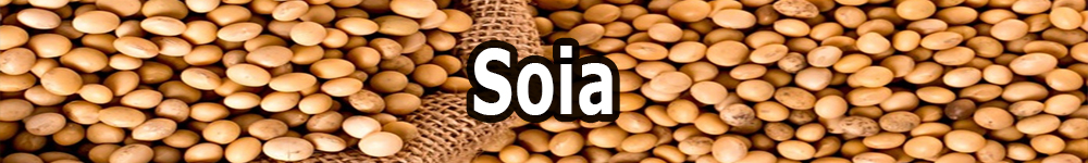 soy