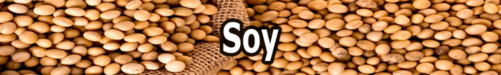 soy